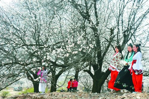 球探体育比分实时面板